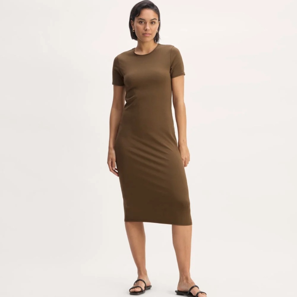 The Form Dress in Cocoa